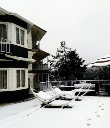 Villa Resort in Chail - Project