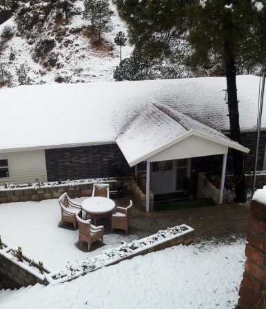 Villa Resort in Chail - Project