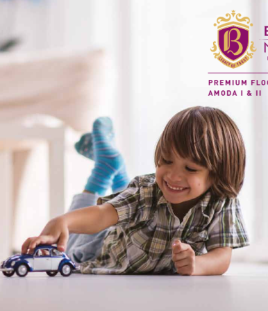Birla Navya - Project
