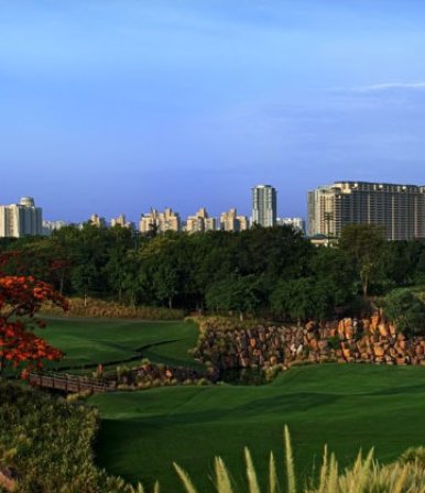 DLF The Camellias - Project