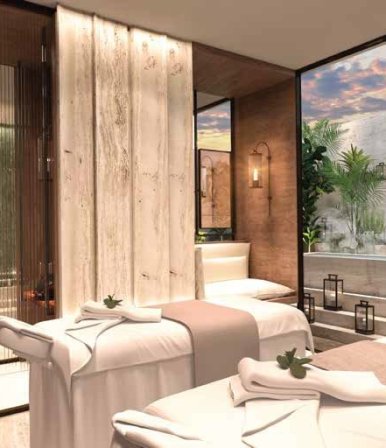 DLF The Camellias - Project