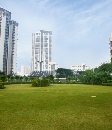 Tata Housing Primanti Vertillas - Project